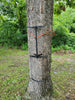 NEW Shikar Stick AmSteel® Aider