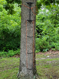 NEW Shikar Stick AmSteel® Aider